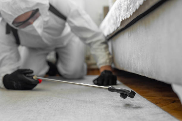 Professional Bed Bug Control technician working in Wellsville, KS