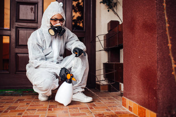Reliable Bed Bug Control contractor in Wellsville, KS by Nex Pest Control